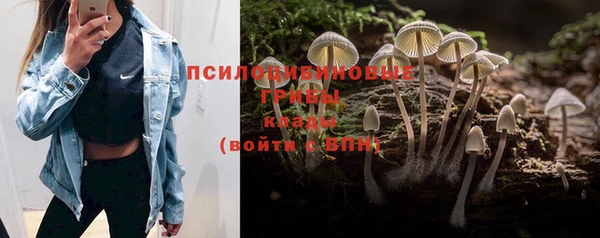 амф Алексин